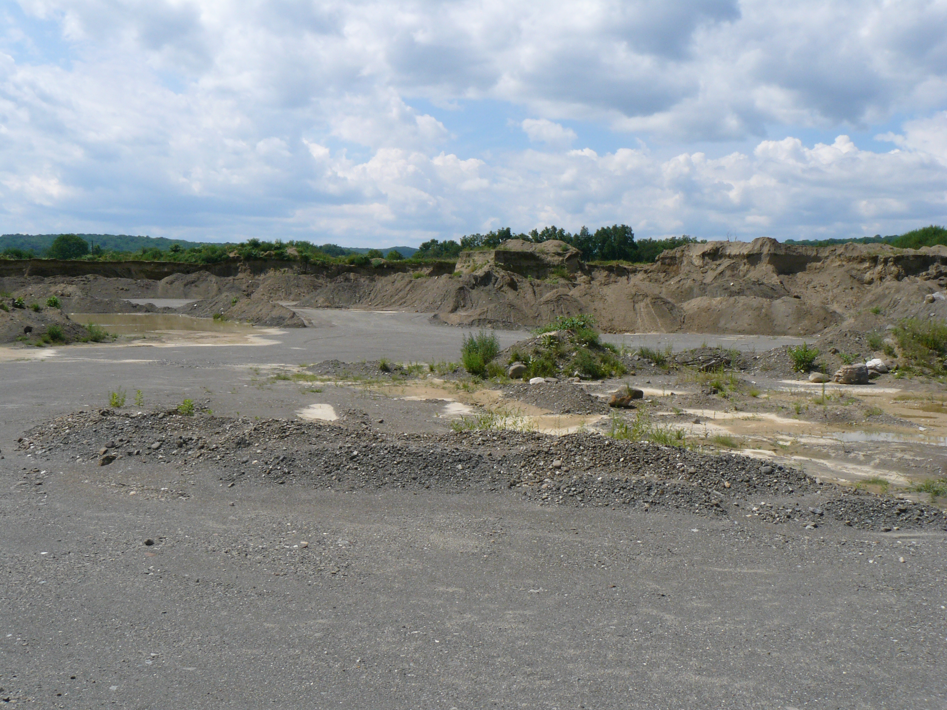 P1000336.JPG