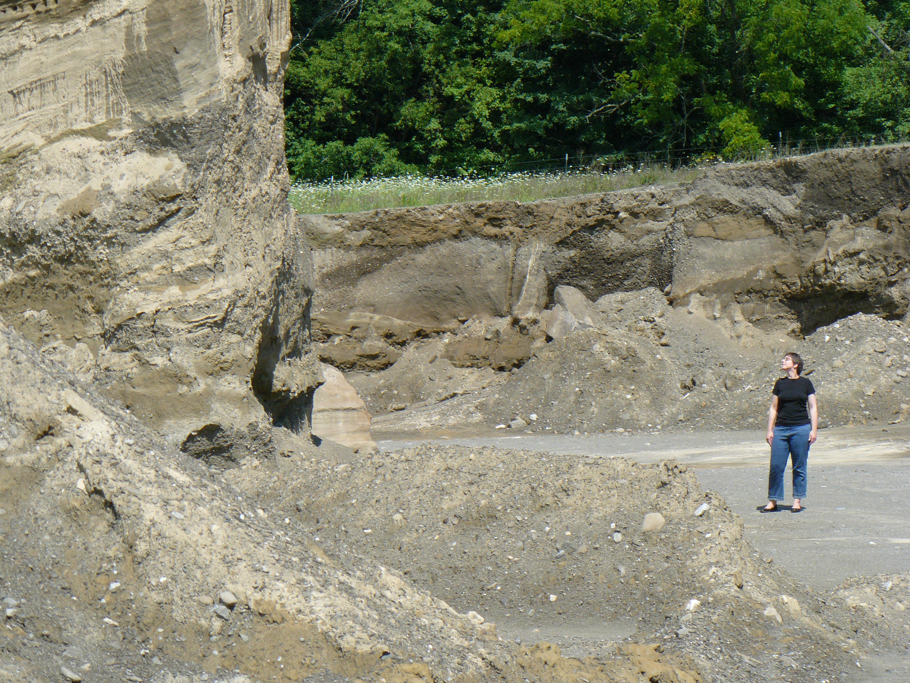 P1000341.JPG