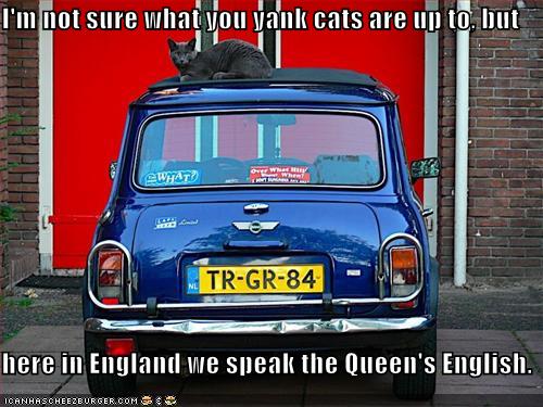 funny-pictures-british-cat.jpg